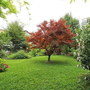  Apartamento Nigler